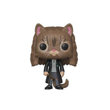 Load image into Gallery viewer, Harry Potter Figure Collection Model